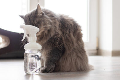 Wasserstoffperoxid als Hausmittel: Das vergessene Multitalent