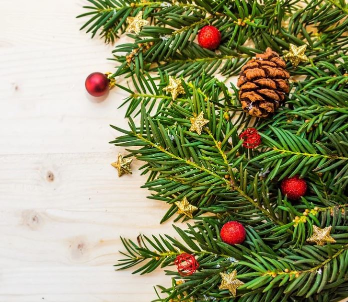 Bittersalz gegen braune Nadeln: Geheimtipp für grüne Tannen