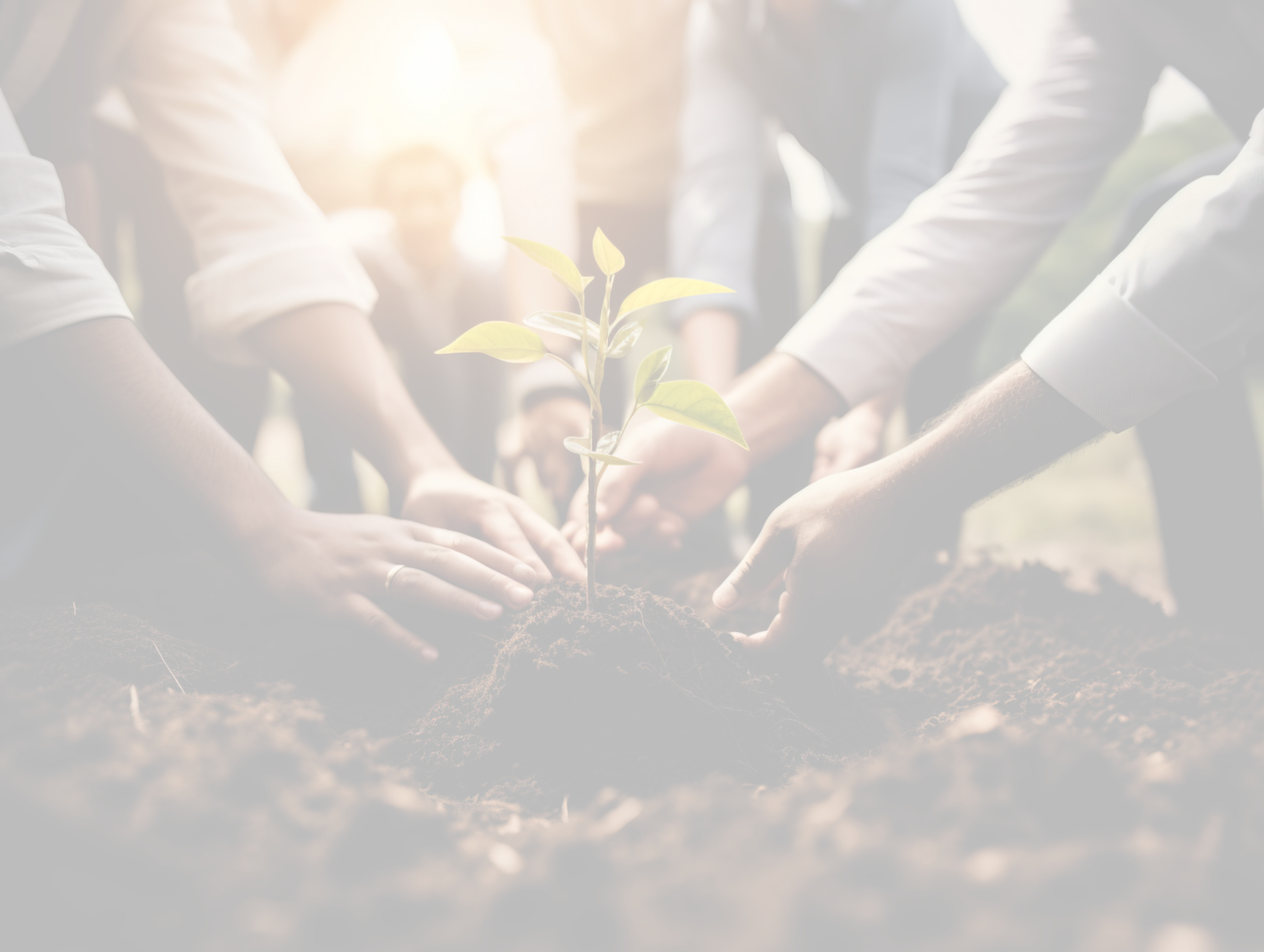 eine gruppe Menschen pflanzt nachhaltig eine pflanzt in die erde  