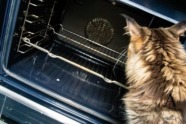 Mikrowelle und Backofen reinigen mit Zitronensäure: Natürlich sauber