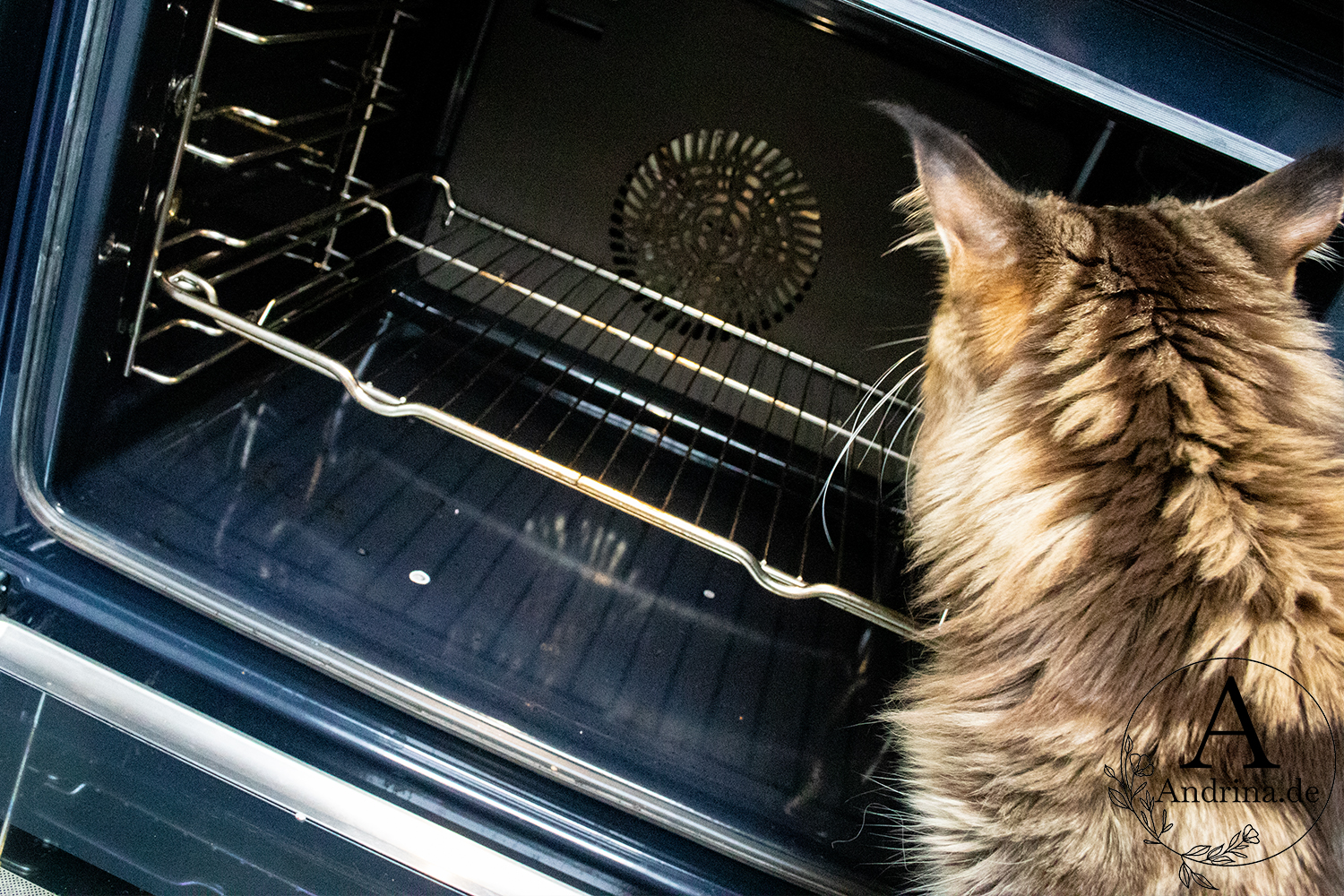 Zitronensäure statt Chemie – Mikrowelle &amp; Backofen natürlich reinigen