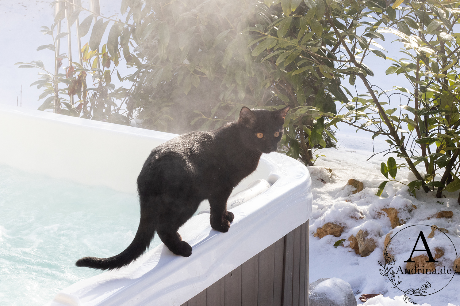 Hautpflege im Whirlpool: Winterbad zur Wellnesskur mit purux