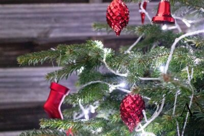 Weihnachtsbaum mit Epsomsalz frisch halten